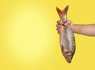 A person's hand is holding a large fish by its tail against a plain yellow background. The fish is hanging upside down, showing its scales and fins.